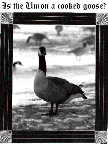 Is the Union a Cokked Goose?